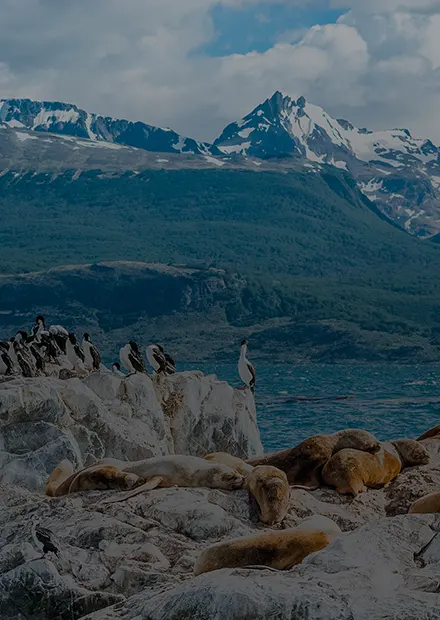 Patagonia, Argentina y Chile